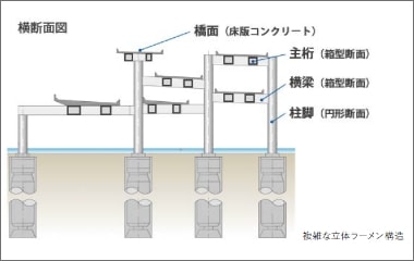 横断面図 橋面（床版コンクリート） 主桁（箱型断面） 横梁（箱型断面） 柱脚（円形断面） 複雑な立体ラーメン構造